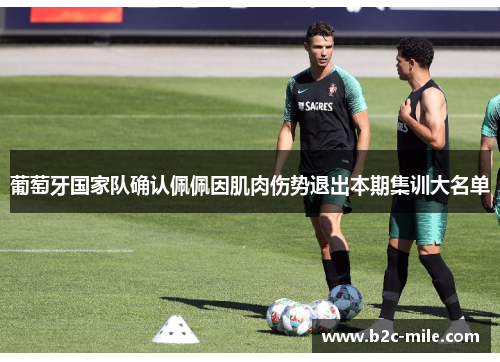 葡萄牙国家队确认佩佩因肌肉伤势退出本期集训大名单