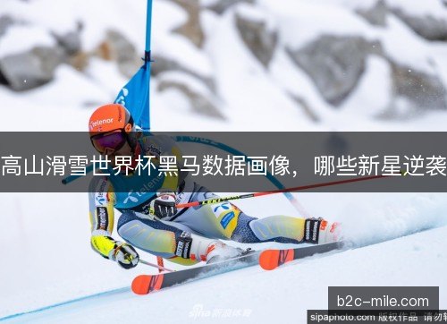 高山滑雪世界杯黑马数据画像，哪些新星逆袭